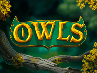 Owls icon