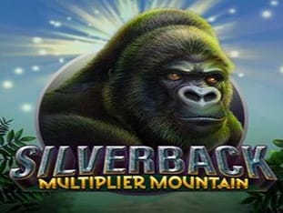 Silverback Multiplier Mountain icon
